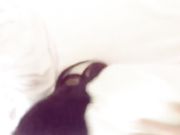 极品女神英语老师Alyssa露脸口交和后入跪舔使我终身难忘