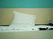 约气质女老板衣服还没脱完就被爆操直接要干飞起来的节奏