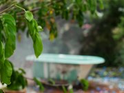 在浴缸里自摸的翘臀美少妇