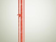 美国各H站人气爆棚的华裔小钮