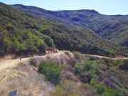 引诱英俊的越野队教练满足性欲的淫妇