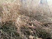 骚货俏秘书跟小哥哥玩刺激的野战找个没人的地方就口