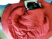 帅哥怒草奶头好大的大奶妹最后怕怀孕射在肚子上