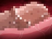 成人动漫歡淫來到好色精靈之森