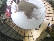 个性酒店俯拍接电话谎称在上班的大哥与大姐开房上演活春宫插完上面插下面很激情妹子喜欢女上位摇的很疯狂