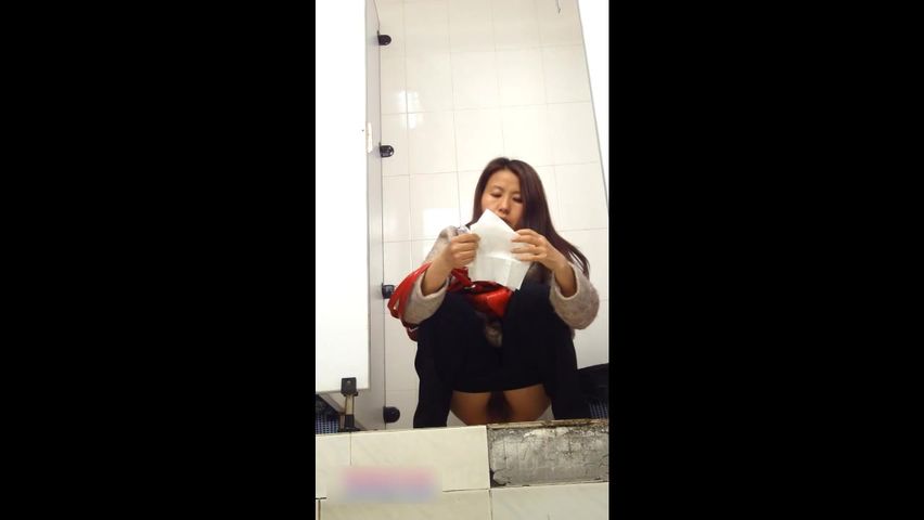 公厕经典盗录流出各色女性放尿环肥燕瘦形态各异