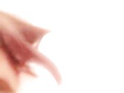 清纯萌妹子黑色道具JJ抽插自慰高潮喷水逼逼无毛很是诱惑