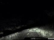 饥渴的丧尸疯狂摇摆