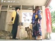 时间停止-庙会篇