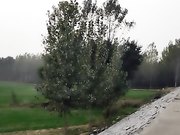 户外野地口交 口活不错  站着后入被操