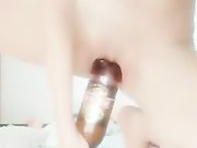 年轻嫩妹用瓶子罐子插菊花穴