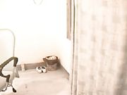 看似清纯的白嫩长发大波浪嫩妹自慰高潮到抽搐