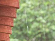 嫌な顔しないで汗だくになった女子マネージャーと2泊3日の夏合宿 三上悠亜