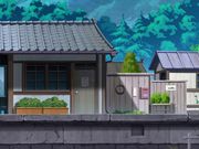 家里的美丽女仆