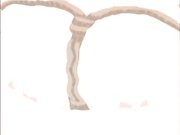 戏弄一起旅行的姐姐-5