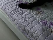 妈妈午休时故意不穿内裤,穿着性感暴露的黑丝勾引儿子