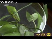 国人去韩国找美女拍高清剧情片 极品美女车震到床上轮流狂操骚B