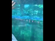 萝莉美乳网红『青木小荷』随性私拍合集流出 激情啪操 无套抽插