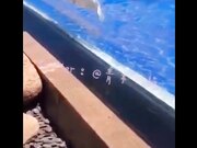 网红嫩妹青木小河福利视频合集年龄不大绝对够骚还是无毛逼一对车大灯非常赞