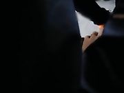 [2017精品合集5月]-美女主播网吧勾引19岁大学生