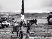 推特微博摄影大神【就MC】另类艺术情色结合作品集模特全是极品美女