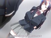 紫阳花散落的时候